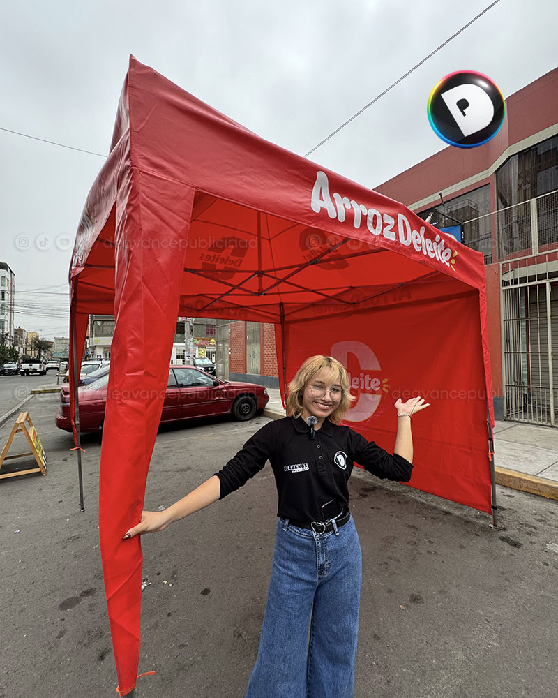 TOLDO PUBLICITARIO DELEITE