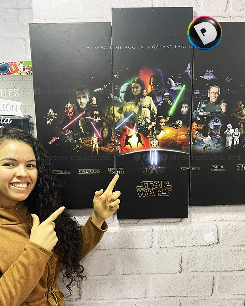 CUADRO STAR WARS