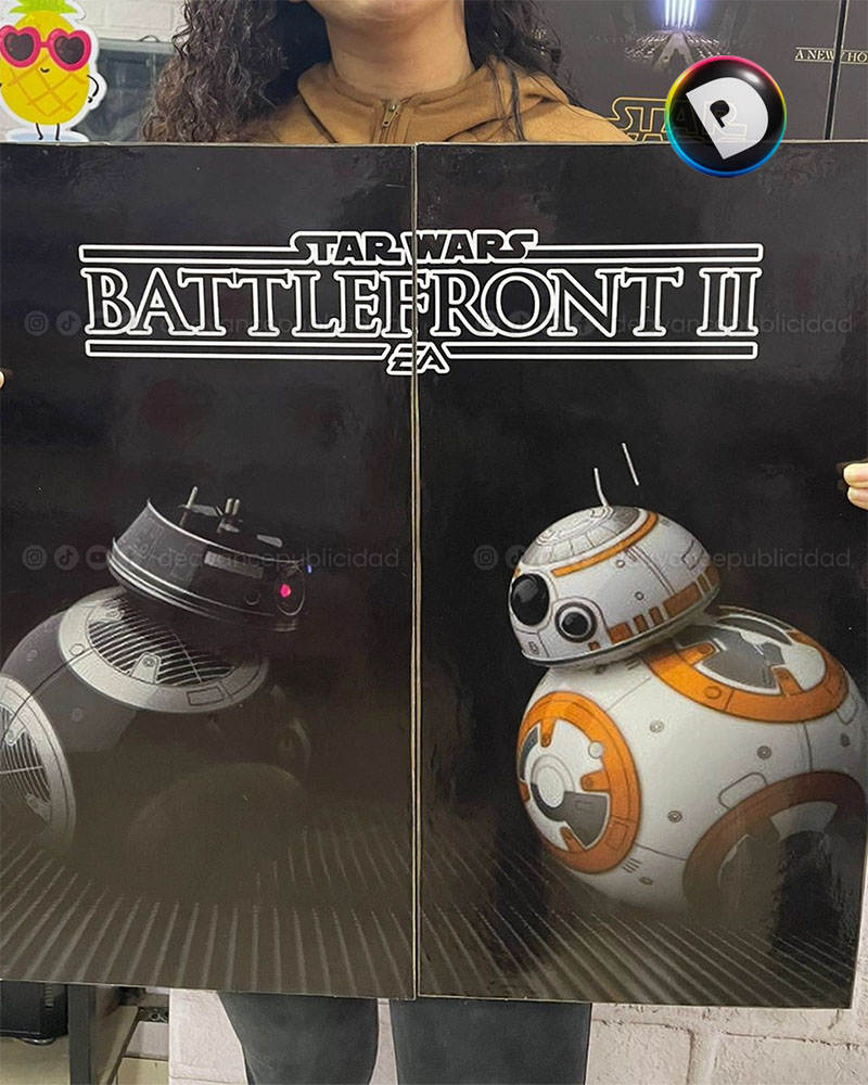 CUADROS STAR WARS